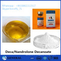 Liqiud 360-70-3 Durabolin / Deca / Nandrolone Deca / Nandrolone Decanoate